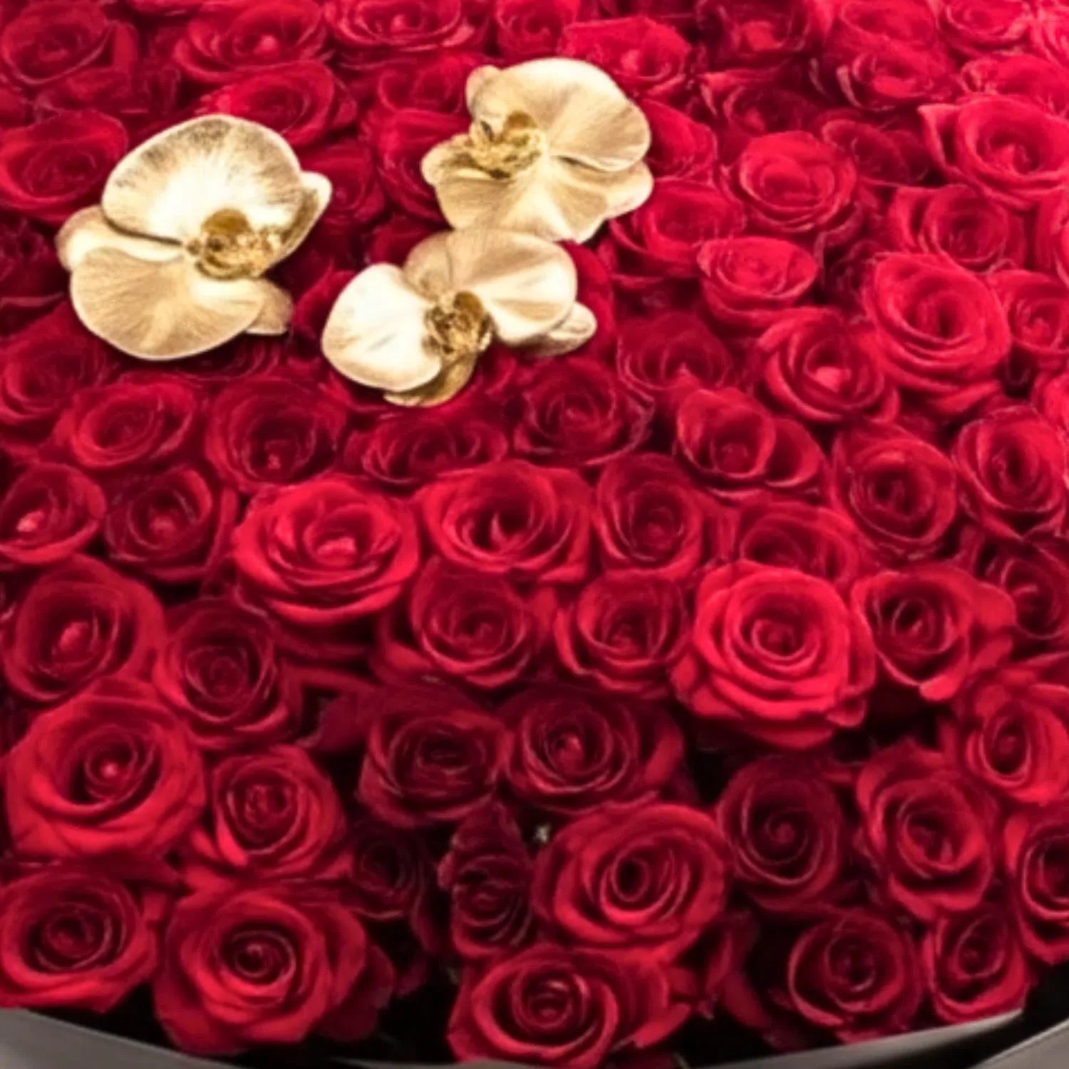 Eternal Devotion - Grand Rose Bouquet