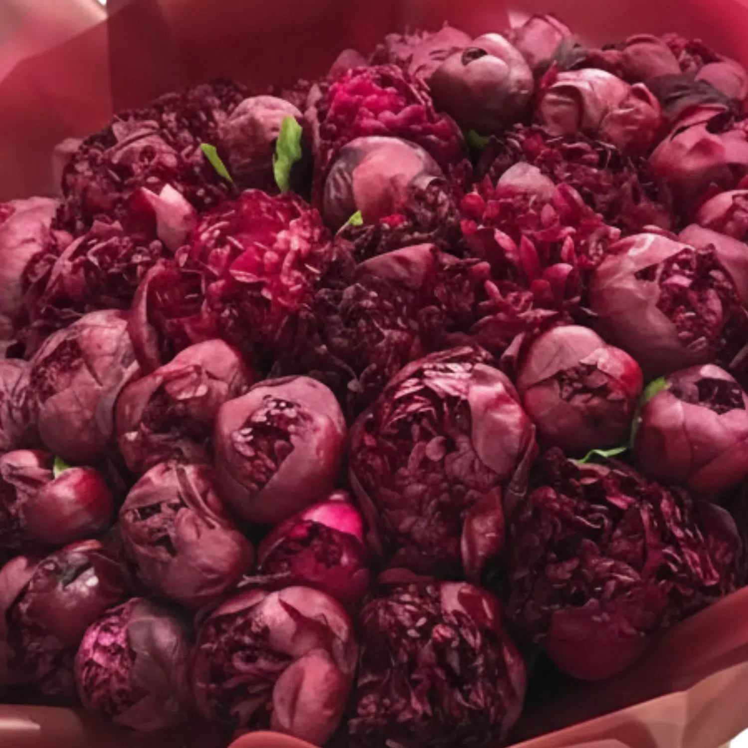 Velvet Dream - Peony Bouquet