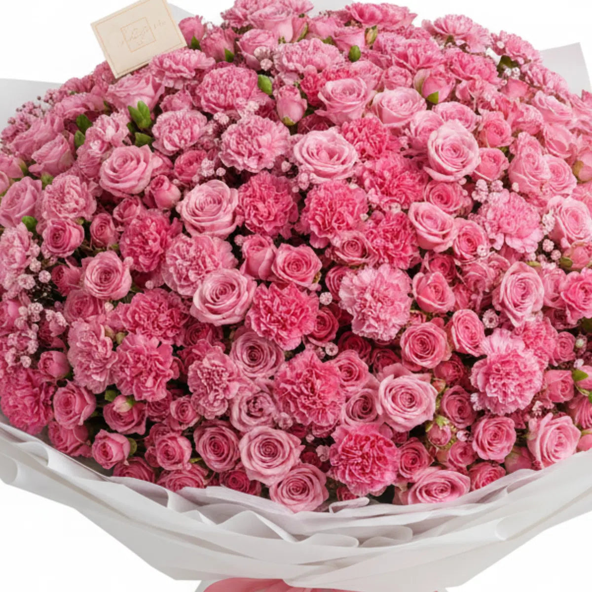 Blush Dreamland - Grand Rose & Carnation Bouquet
