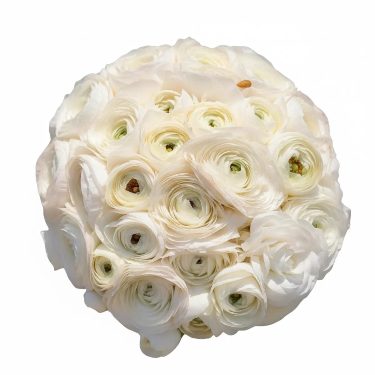 Luxurious White Ranunculus Wedding Bouquet