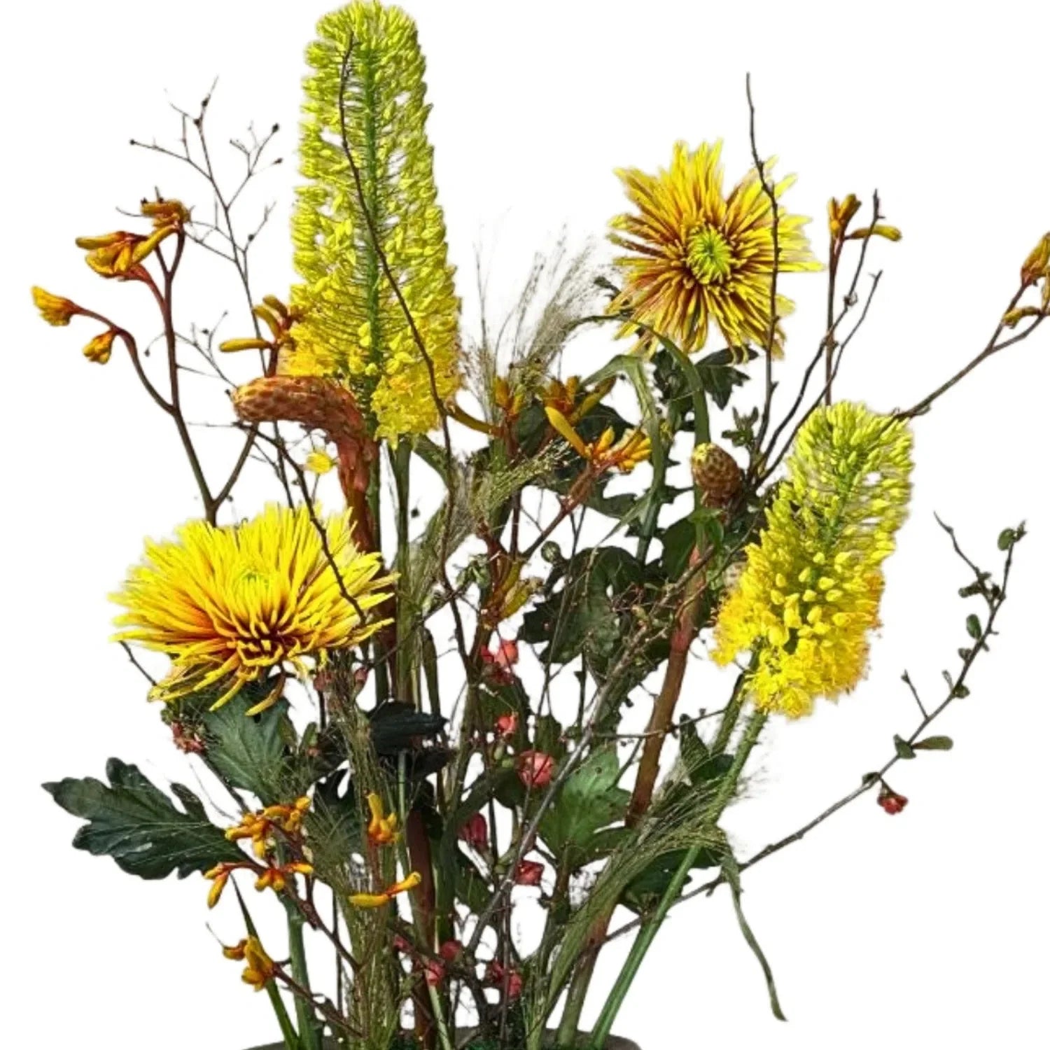 Golden Hour - Fresh & Dry Floral Arrangement in Vase